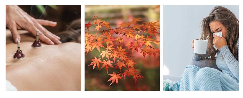 MOKSOTERAPIA NA ODPORNOŚĆ moksa odpornosc