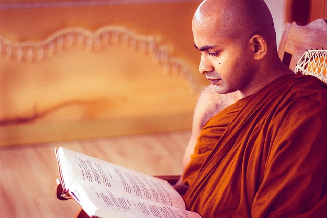 buddhist monk, reading, monastery, scripture, religion, monk, book, sri lanka, mahamevnawa buddhist monastery, ajahn, monk, monk, monk, monk, monk, sri lanka, sri lanka
