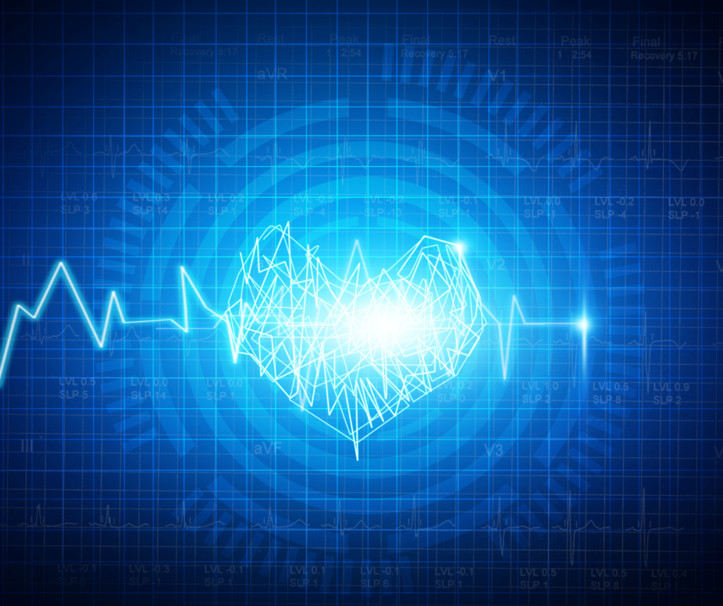 POZNAJ ALTAIRĘ altaira banery (10)