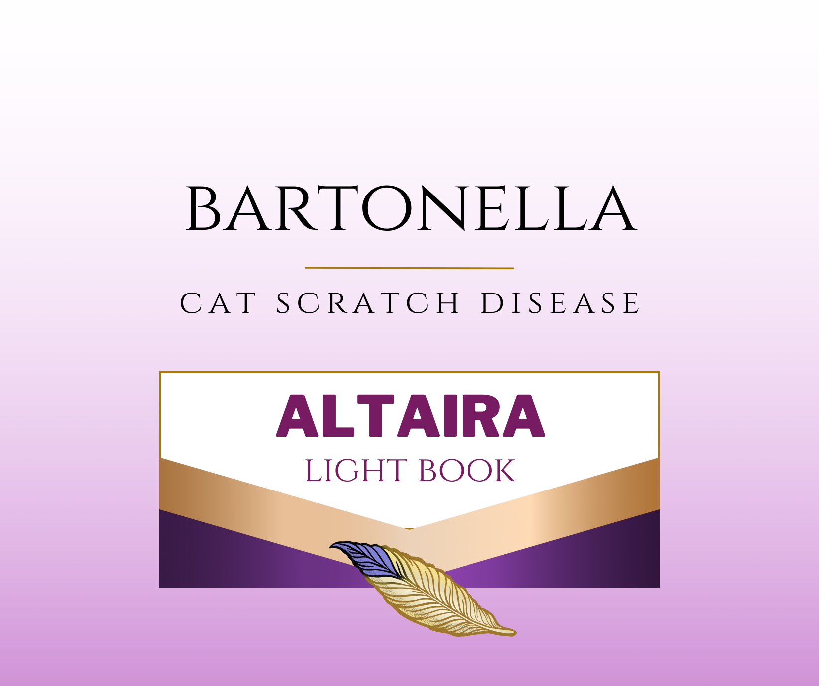 bartonella bartonella