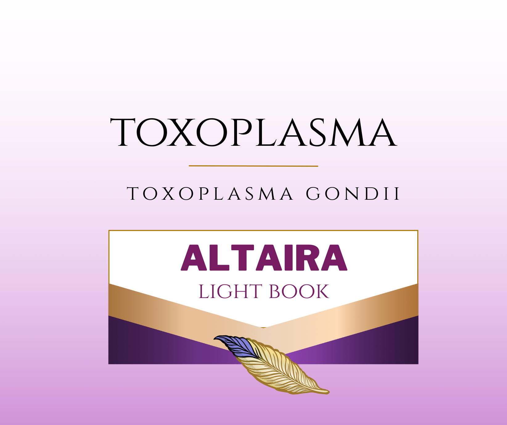 toxoplasma gondii toxoplasma gondii