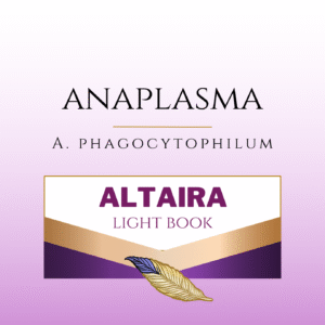 anaplasma