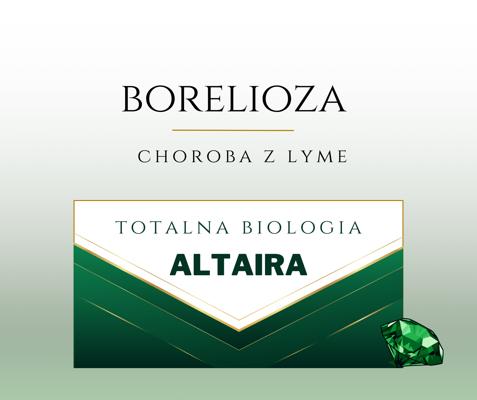 BORELIOZA – TB