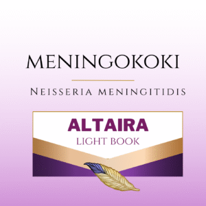meningokoki | neisseria
