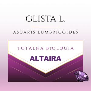 glista ludzka