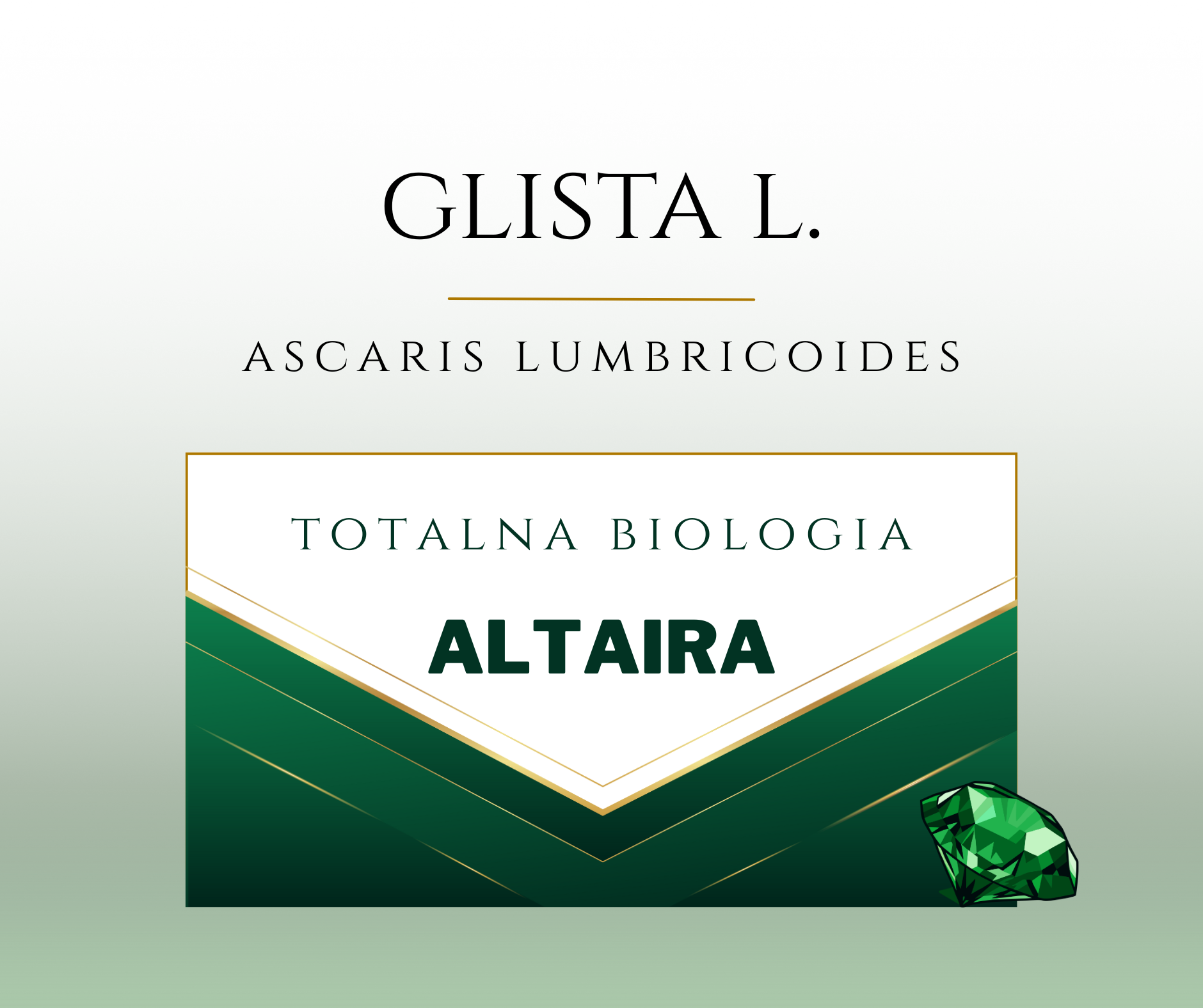 glista ludzka glista ludzka