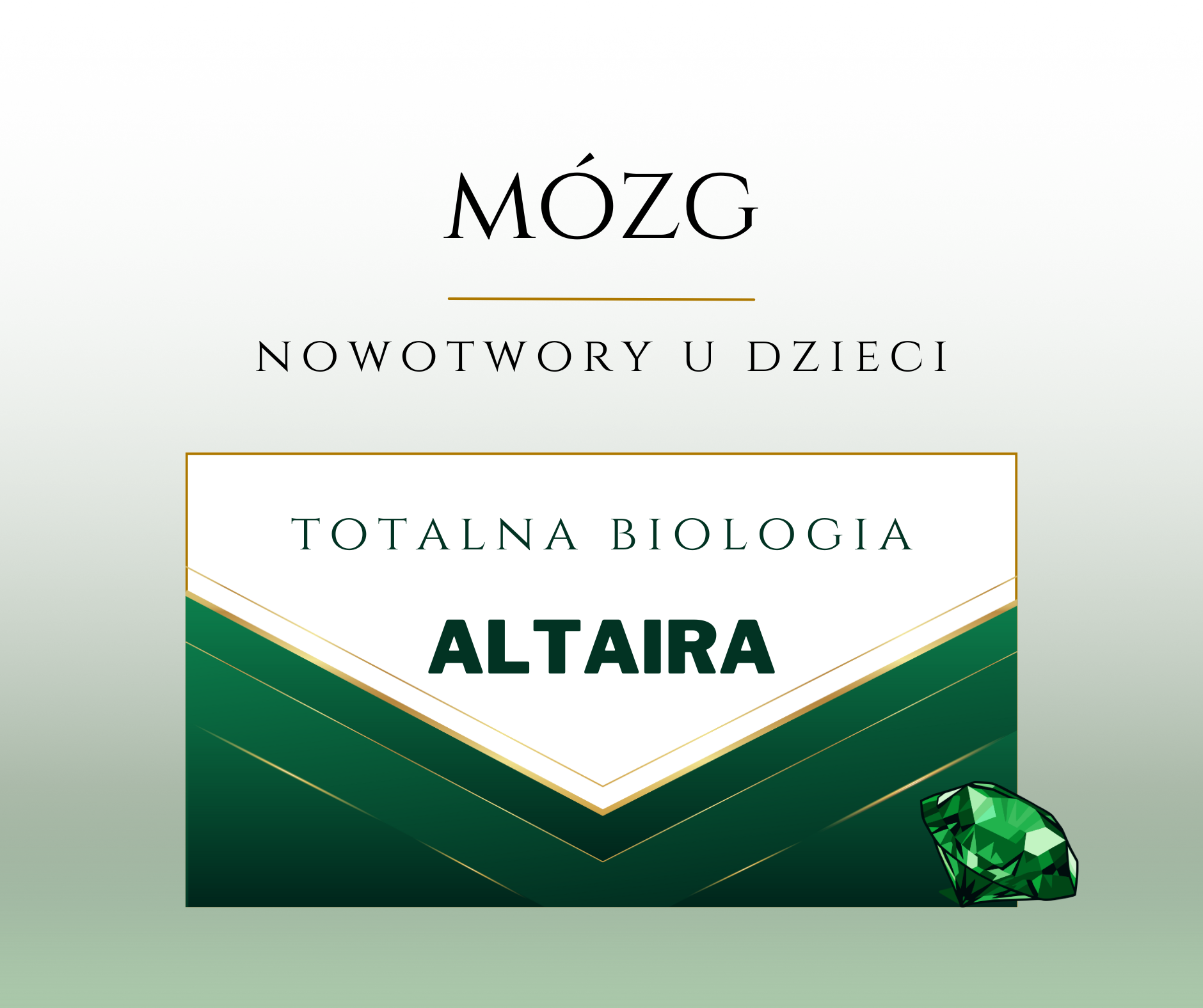 MÓZG