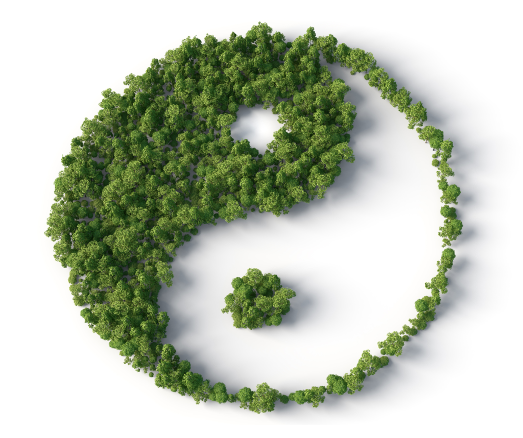 KONSTYTUCJA URODZENIOWA tmc 7